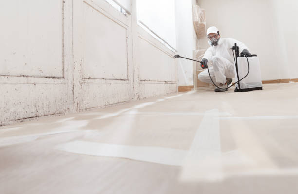 24/7 Emergency Bathroom Mold Removal experts in College Park, MD